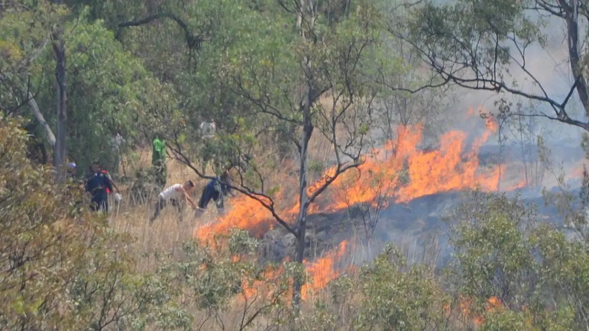 INCENDIOS FORESTALES6